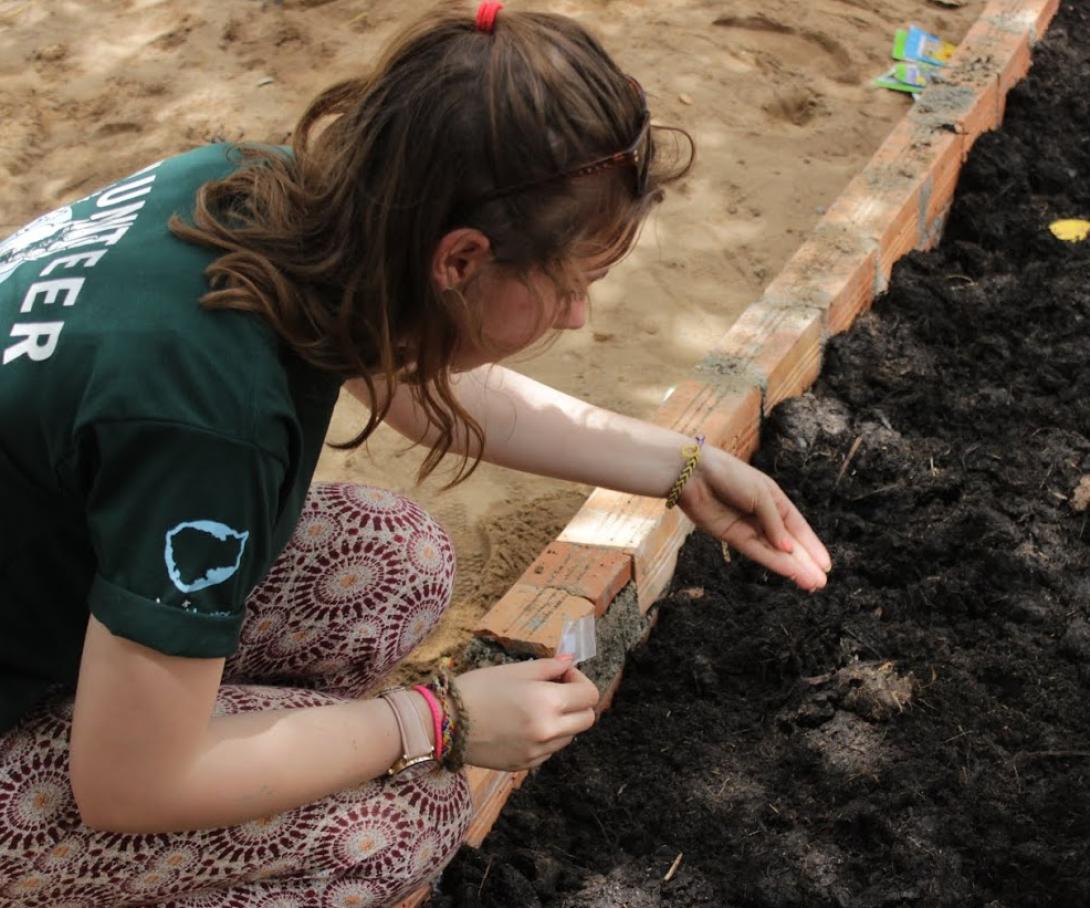A Girl Guide on an organised volunteer programme in Cambodia helps with planting at a school. An Anglia Girl Guide plants seeds at a school during her group volunteer trip to Cambodia.